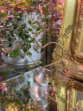 impera accessory（インペラアクセサリー）に投稿された画像（2025/2/15）