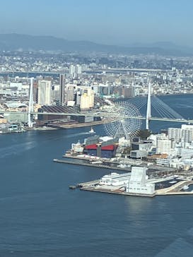 さきしまコスモタワー展望台に投稿された画像（2025/2/15）