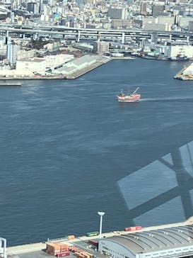 さきしまコスモタワー展望台に投稿された画像（2025/2/15）