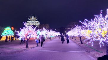 大阪城イルミナージュに投稿された画像（2025/2/15）