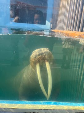 ゼロ距離水族館 伊勢シーパラダイスに投稿された画像（2025/2/15）
