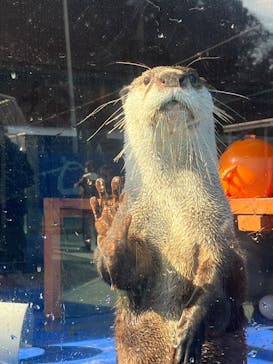 ゼロ距離水族館 伊勢シーパラダイスに投稿された画像（2025/2/15）