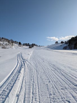 ジュネス栗駒スキー場に投稿された画像（2025/2/15）