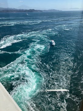 徳島県立 渦の道に投稿された画像（2025/2/15）