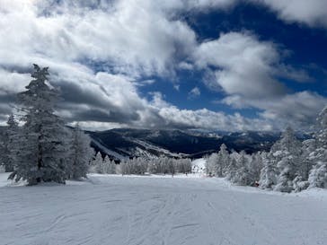 志賀高原マウンテンリゾートに投稿された画像（2025/2/15）