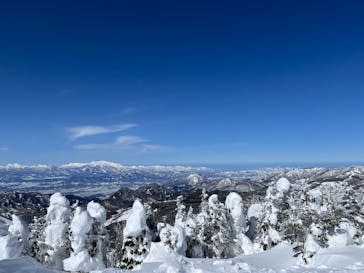 志賀高原マウンテンリゾートに投稿された画像（2025/2/15）