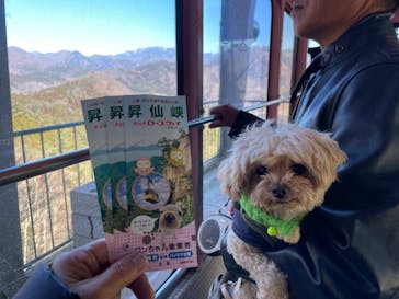 昇仙峡ロープウェイに投稿された画像（2025/2/15）