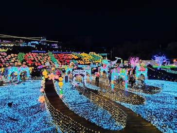 伊豆高原グランイルミに投稿された画像（2025/2/15）