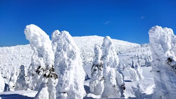 阿仁スキー場に投稿された画像（2025/2/15）