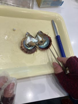 九十九島パールシーリゾートに投稿された画像（2025/2/15）