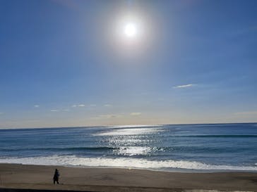 鴨川シーワールドに投稿された画像（2025/2/15）