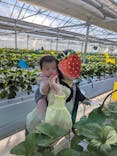 軽井沢ガーデンファームいちご園に投稿された画像（2025/2/16）