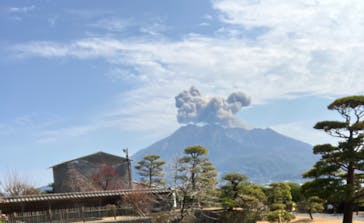 仙巌園に投稿された画像（2025/2/15）