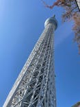 東京スカイツリーに投稿された画像（2025/2/16）