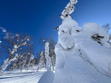 Spur akita mountain guideに投稿された画像（2025/2/15）