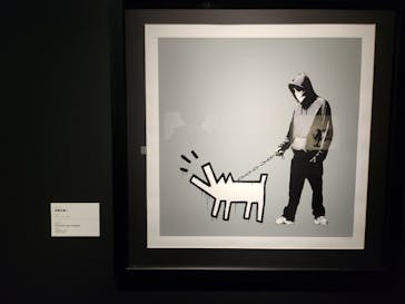 ストリートアートの進化と革命 展　- Street Art (R)Evolution -に投稿された画像（2025/2/15）