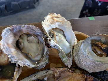 海女小屋はちまんかまどに投稿された画像（2025/2/15）