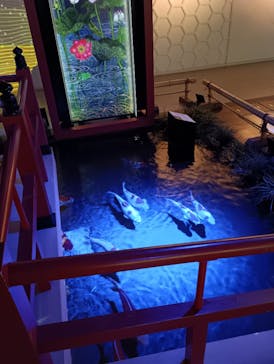 AQUARIUM × ART　atoaに投稿された画像（2025/2/15）