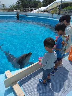 マリンワールド海の中道に投稿された画像（2025/2/15）
