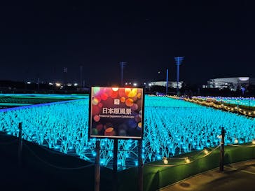 東京メガイルミに投稿された画像（2025/2/16）