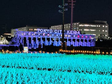 東京メガイルミに投稿された画像（2025/2/16）