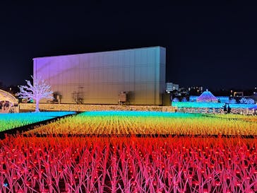 東京メガイルミに投稿された画像（2025/2/16）