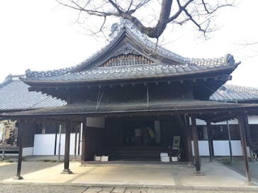 偕楽園本園に投稿された画像（2025/2/16）