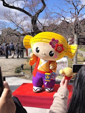 偕楽園本園に投稿された画像（2025/2/16）