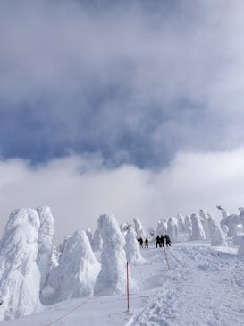 阿仁スキー場に投稿された画像（2025/2/16）