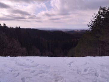 秋田市太平山スキー場オーパスに投稿された画像（2025/2/16）