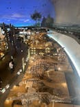 福井県立恐竜博物館に投稿された画像（2025/2/16）