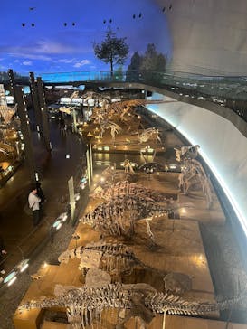 福井県立恐竜博物館に投稿された画像（2025/2/16）