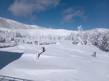 ピラタス蓼科スノーリゾートに投稿された画像（2025/2/16）