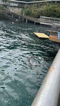 伊豆・三津シーパラダイスに投稿された画像（2025/2/16）