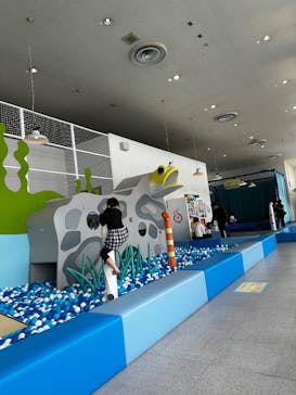 伊豆・三津シーパラダイスに投稿された画像（2025/2/16）