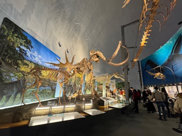 福井県立恐竜博物館に投稿された画像（2025/2/16）