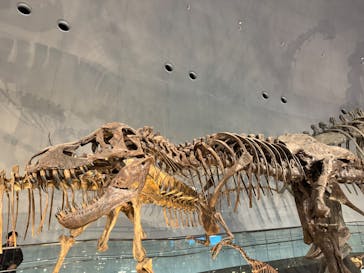 福井県立恐竜博物館に投稿された画像（2025/2/16）