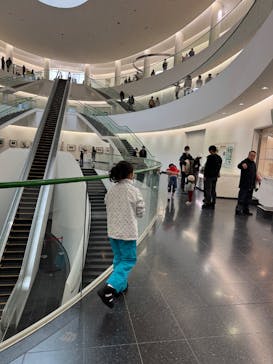 福井県立恐竜博物館に投稿された画像（2025/2/16）