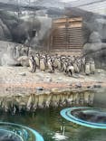 天王寺動物園に投稿された画像（2025/2/16）