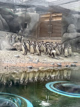 天王寺動物園に投稿された画像（2025/2/16）