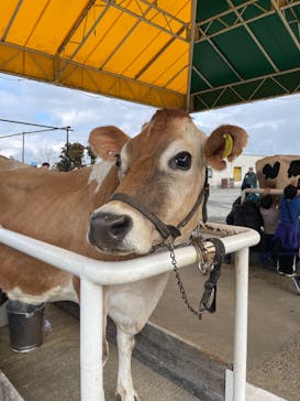 マザー牧場に投稿された画像（2025/2/16）