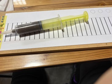 体験工房　寺スペースに投稿された画像（2025/2/16）