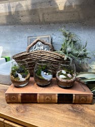 ミルキーグリーン 横浜赤レンガ倉庫に投稿された画像（2025/2/16）