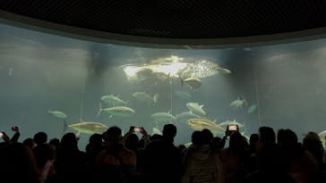 葛西臨海水族園に投稿された画像（2025/2/16）