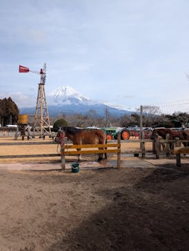 まかいの牧場に投稿された画像（2025/2/16）