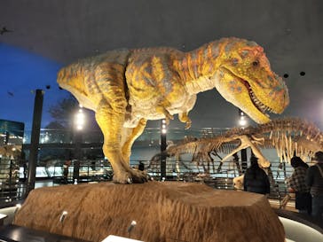 福井県立恐竜博物館に投稿された画像（2025/2/16）