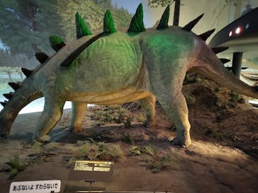福井県立恐竜博物館に投稿された画像（2025/2/16）