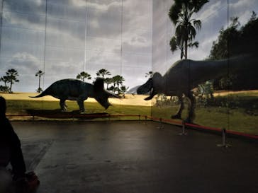 福井県立恐竜博物館に投稿された画像（2025/2/16）