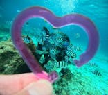 青の洞窟専門店　沖縄ダイビングショップ和に投稿された画像（2025/2/16）