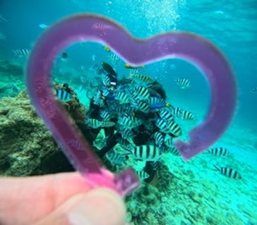 青の洞窟専門店　沖縄ダイビングショップ和に投稿された画像（2025/2/16）